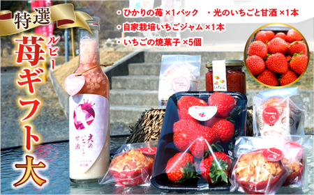 E008 特選いちごギフト（大）いちごギフト（大）詰め合わせ （光市産いちご300g×1, 甘酒 330g×1, いちごジャム×1個, 焼き菓子×5個）【100セット限定】 
