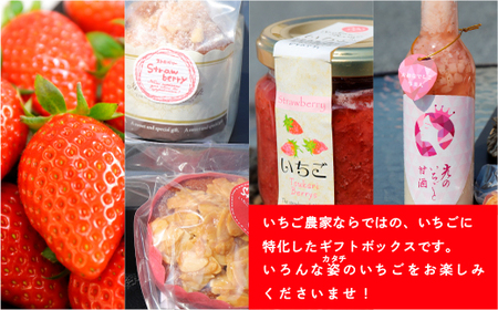E009 特選いちごギフト（特大）いちごギフト（特大）詰め合わせ （光市産いちご 300g×2, 甘酒 330g×1, いちごジャム×1, 焼き菓子×6）【100セット限定】