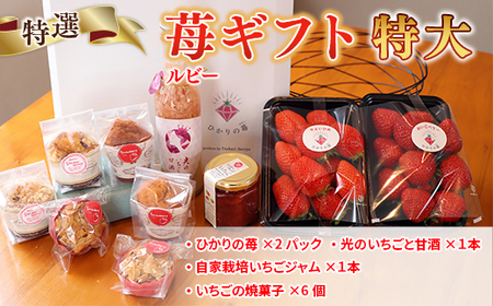 E009 特選いちごギフト（特大）いちごギフト（特大）詰め合わせ （光市産いちご 300g×2, 甘酒 330g×1, いちごジャム×1, 焼き菓子×6）【100セット限定】