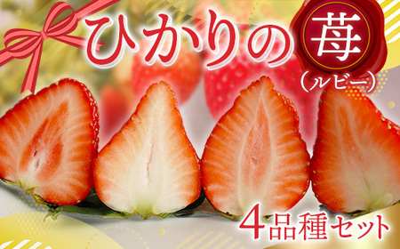 E014 ひかりの苺 （ルビー）4品種セット 1kg 2026年1月から4品種そろい次第順次発送 1000g やよいひめ おおきみ おいCベリー もういっこ イチゴ いちご 4パック 詰め合わせ 食べ比べ 山口県産