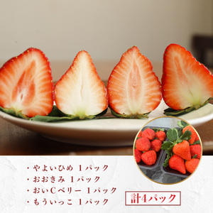 E014 ひかりの苺 （ルビー）4品種セット 1kg 2026年1月から4品種そろい次第順次発送 1000g やよいひめ おおきみ おいCベリー もういっこ イチゴ いちご 4パック 詰め合わせ 食べ比べ 山口県産