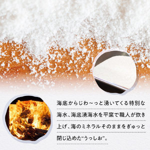 海底湧水塩うっしお 100g YE01