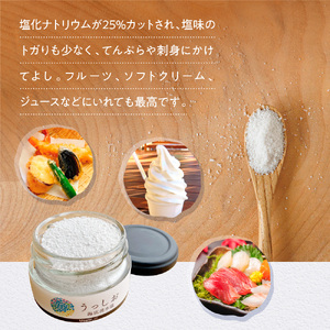 海底湧水塩うっしお 100g YE01