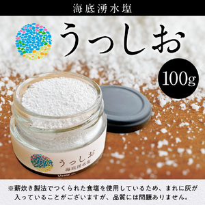 海底湧水塩うっしお 100g YE01