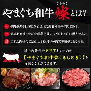 YF04 【共通返礼品】やまぐち和牛燦(きらめき)肩ローススライス(500g)