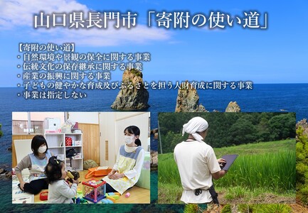 (10099)山口県長門市ふるさと応援寄付金1,000円分 返礼品なし