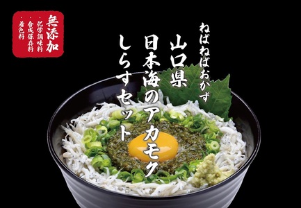 (10108)絶品アカモクしらす丼 6食セット 冷凍