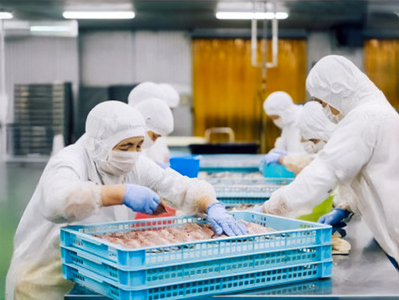  魚急便 K-A 干物 アジ のどぐろ ちりめん うるめ 国産 干物 釜揚げ 手作り 5種類  お中元 お歳暮 ギフト 贈り物  (10143)