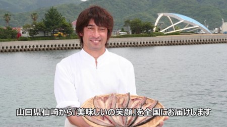 魚健干物セット 干物 地魚 (1121)