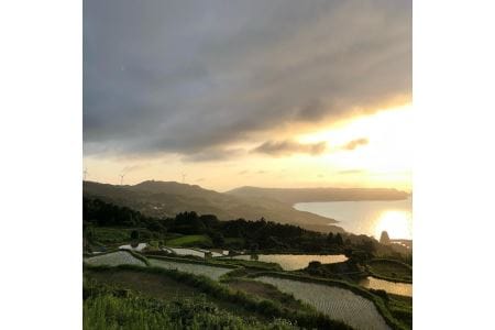 棚田米BISCOTTI ビスコッティ 棚田米 おやつ お菓子 長門市 (1199)