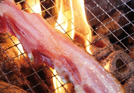 手軽に満喫5種 詰め合わせ ギフト Bセット 日置 ベーコン ウインナー 詰合せ ジャーキー 贈り物 長門市 おつまみ BBQ 手作り (1225)