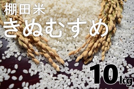 (1028)【令和6年度産予約受付】米　精米　白米　棚田米　「きぬむすめ」　10kg