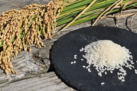 (1029)グラノーラ 4種 プレーン 珈琲 米粉 野菜 果物 健康 朝ごはん 詰合せ セット 期間限定 お取り寄せ 長門市 山口県 シリアル 軽食 おやつ 保存料不使用