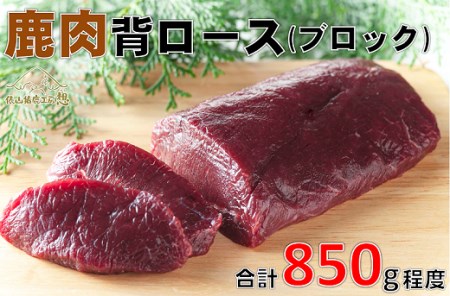 鹿肉 背ロース（ブロック肉）合計850g程度 ジビエ ヘルシー ビタミン 鉄分豊富 山のご馳走 高たんぱく 低カロリー アスリート 美容食 新鮮 鮮度抜群 俵山猪鹿工房想 職人技 国産ジビエ認定取得 精肉 鹿カツ アレンジ料理 (1046)