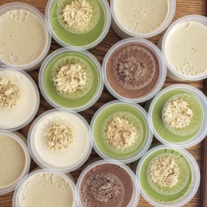 (1088)豆乳ぷりん ぷりん プリン 豆乳プリン 豆乳 卵不使用 プレーン ココア 抹茶 ほうじ茶 4種類 8個 セット ギフト プレゼント 贈り物 スイーツ デザート 和風 おやつ