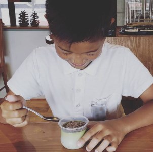 (1088)豆乳ぷりん ぷりん プリン 豆乳プリン 豆乳 卵不使用 プレーン ココア 抹茶 ほうじ茶 4種類 8個 セット ギフト プレゼント 贈り物 スイーツ デザート 和風 おやつ