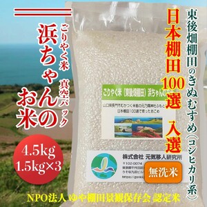 (10009)米 こめ お米 無洗米 精米 きぬむすめ ごりやく米 「東後畑棚田きぬむすめ」 無洗米4.5ｋｇ 真空パック 1.5×3個 小分け 棚田米 棚田 長門市 