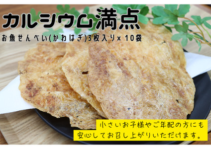 (10038)お魚せんべい かわはぎ カルシウム 10袋セット 長門市