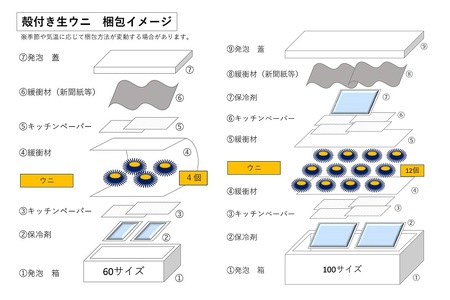 (1364)殻付きウニ 12個 生うに 雲丹  長門市 ムラサキウニ