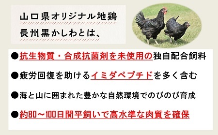  (10051)【流通割合1%未満！超希少地鶏】鶏肉 小分け 地鶏 国産 冷凍 希少 400g ぶっかけ飯 長州黒かしわ もも肉 パック ガラスープセット 深川養鶏 