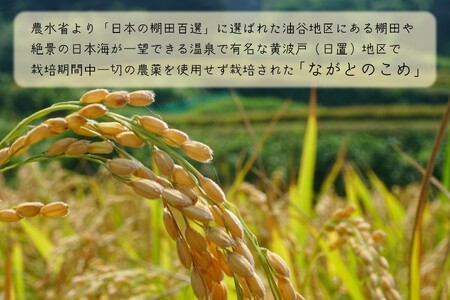 定期便 ながとのこめ  こしひかり 白米1kg×5袋 毎月 全3回 合計15kg  精米 コシヒカリ 長門市(1367) 