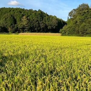 一等米5品種食べ比べ　少量真空パック450g×15個(5品種×各3個)_ 精米 米    ひとめぼれ 米 _【1354257】