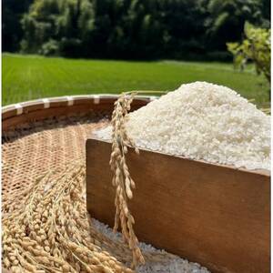 一等米5品種食べ比べ　少量真空パック450g×15個(5品種×各3個)_ 精米 米    ひとめぼれ 米 _【1354257】