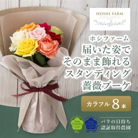 ホシファーム　届いた姿でそのまま飾れるスタンディング薔薇ブーケ　カラフル8本_花・観葉植物  花 _【配送不可地域：離島・北海道・沖縄県】【1465217】