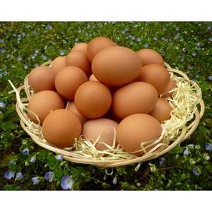 「地元ブランド」まごころ卵30個入り　鶏卵(生食用)【配送不可地域：離島】【1008773】