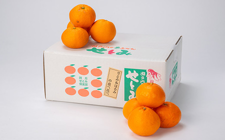 せとみ＆はるみの食べ比べ_果物・フルーツ  柑橘 _【1430970】