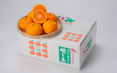 【山口県ブランド】せとみ 22~24玉(約4.5kg)_果物・フルーツ 柑橘 _【1432238】