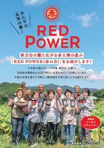 美東ごぼう 入り スイーツ & ごぼう茶 セット ( 4 セット ) ｜ 山口県 山口 美祢市 美祢 楽天ふるさと ふるさと 納税 返礼品 ごぼう茶 国産 ゴボウ茶 ごぼう お茶 茶 クッキー お菓子 菓子 ご当地 お土産 特産品 ゴボウ 牛蒡 おちゃ 飲み物 土産 腸活