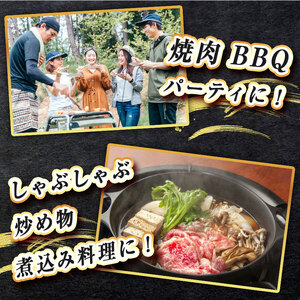 数量限定！選べる 極上牛肉 やまぐち和牛 燦 ( きらめき ) 肩・モモ スライス 500g