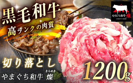 数量限定！選べる 極上牛肉 やまぐち和牛 燦 ( きらめき ) 切り落とし 1200g