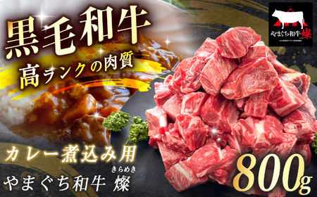 数量限定！選べる 極上牛肉 やまぐち和牛 燦 (きらめき) カレー煮込み用 800g