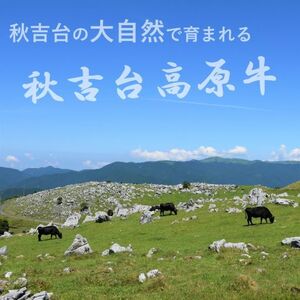数量限定 秋吉台高原牛 ローストビーフ 500g 以上