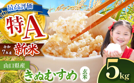 令和7年度産 きぬむすめ 玄米 5kg＜ 2026年1月～より順次発送予定 ＞ 