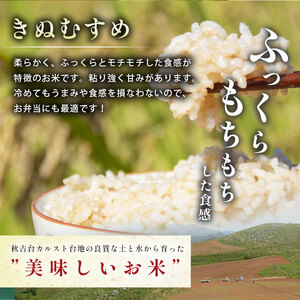 令和7年度産 きぬむすめ 玄米 20kg＜ 2026年1月～より順次発送予定 ＞