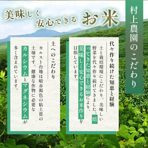令和7年度産 きぬむすめ 玄米 20kg＜ 2026年1月～より順次発送予定 ＞