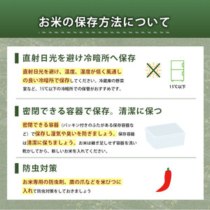 令和7年度産 きぬむすめ 玄米 20kg＜ 2026年1月～より順次発送予定 ＞