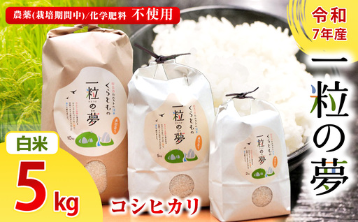 白米 コシヒカリ 5kg 農薬 ( 栽培期間中不使用 )・ 化学肥料不使用 令 