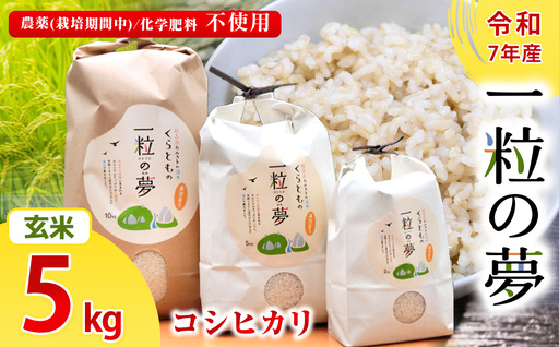 田に入らないと何もわからない 玄米10kg７年産コシヒカリ 特栽①化学農薬不使用 田に入らないと何もわからない 玄米10kg7年産コシヒカリ 特栽①化学