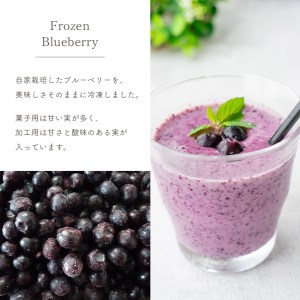 冷凍ブルーベリー (菓子用)