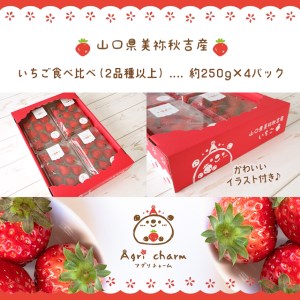 秋吉台のミネラルたっぷり!! Agri charmのいちご 食べ比べセット【先行予約】 (2品種以上×4パック) ＜発送期間：2025年1月以降 順次発送＞ ｜ いちご 苺 イチゴ フルーツ 果物 食べ比べ 美祢市 山口県 美祢 秋吉台 糖度 甘い 期間限定