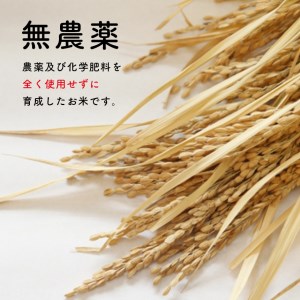 無農薬・化学肥料不使用 ヒノヒカリ(玄米) 2kg