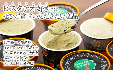 【数量限定】ピスタチオ ジェラート 121ml×8個（2種各4個）食べ比べ【アイス スイーツ 人気 デザート 冷凍 氷菓子 小分け セット 詰め合わせ イタリア シチリア産 豆乳 ピスタチオ】