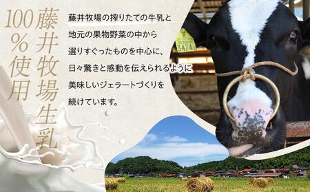 【数量限定】ピスタチオ ジェラート 121ml×8個（2種各4個）食べ比べ【アイス スイーツ 人気 デザート 冷凍 氷菓子 小分け セット 詰め合わせ イタリア シチリア産 豆乳 ピスタチオ】