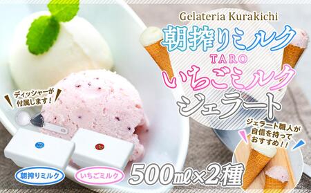 【数量限定】ジェラート 500ml×2種 食べ比べ 朝搾りミルク TAROいちごミルク【大容量 アイス 業務用 セット 合計 1リットル スイーツ 人気 デザート 冷凍 氷菓子 家族 ファミリーサイズ 苺】
