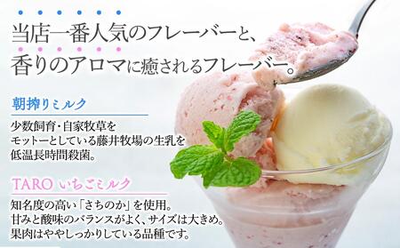 【数量限定】ジェラート 500ml×2種 食べ比べ 朝搾りミルク TAROいちごミルク【大容量 アイス 業務用 セット 合計 1リットル スイーツ 人気 デザート 冷凍 氷菓子 家族 ファミリーサイズ 苺】