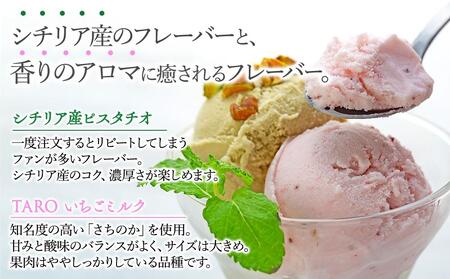 【数量限定】ジェラート 500ml×2種 食べ比べ シチリア産 ピスタチオ TAROいちごミルク【大容量 アイス 業務用 セット 合計 1リットル スイーツ 人気 デザート 冷凍 氷菓子 家族 ファミリーサイズ 苺】